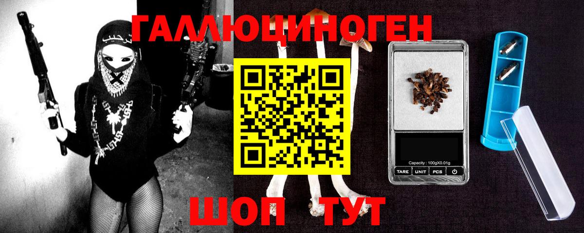 Галлюциногенные грибы Psilocybine cubensis Сухой Лог
