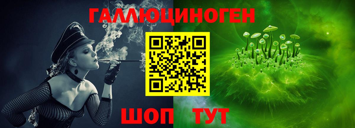 Сухой Лог  цена наркотик  Вход с VPN  Галлюциногенные грибы мицелий 